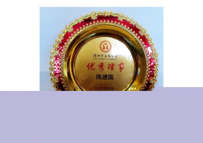 深圳市益阳商会优秀理事